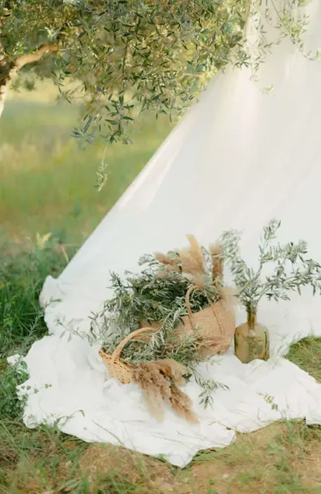 décoration mariage provençal, dans un jardin, un drap avec des branches d'olivier